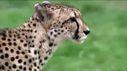 We Call This Home - 3 Years Around the World Travel ACBD (50)