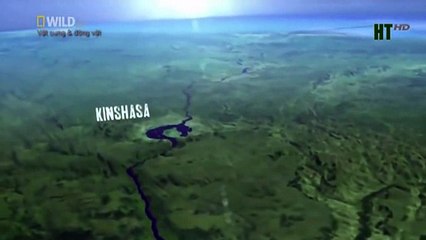 When angry animals attack humans - Funny Compilation (19)