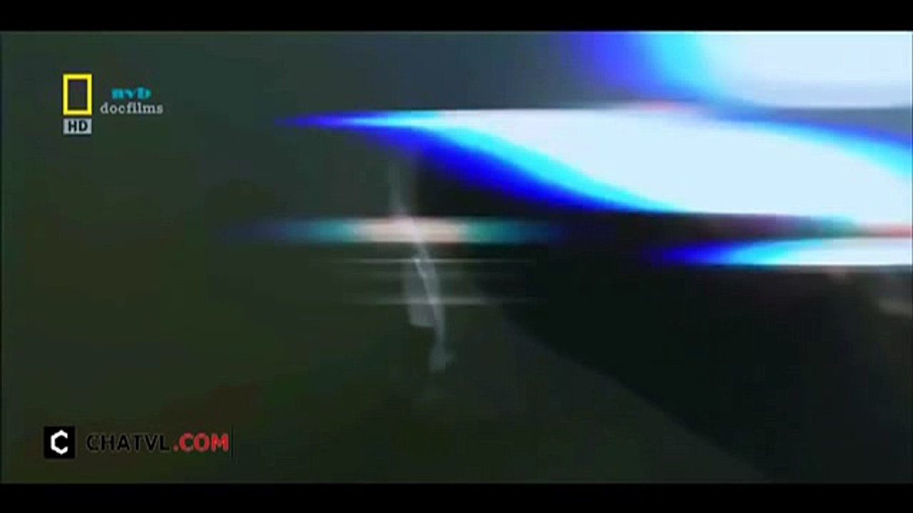 When angry animals attack humans - Funny Compilation (41)