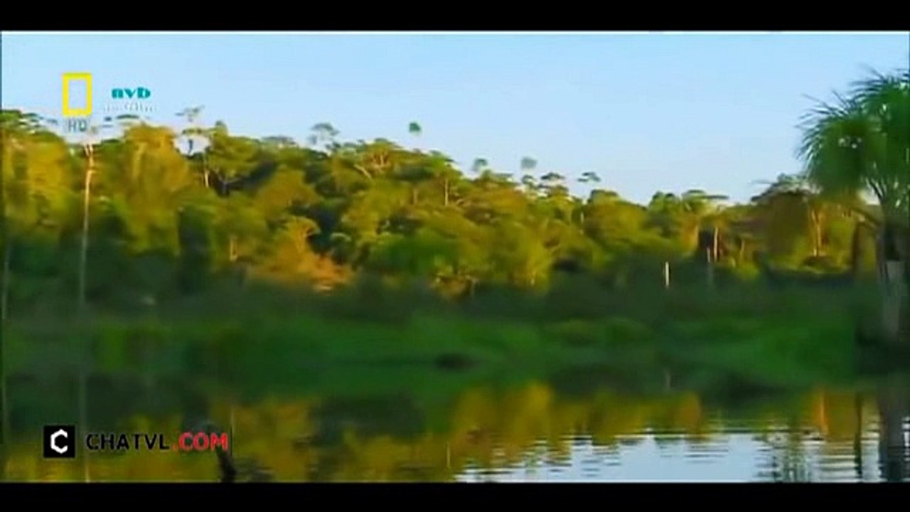 When angry animals attack humans - Funny Compilation (42)