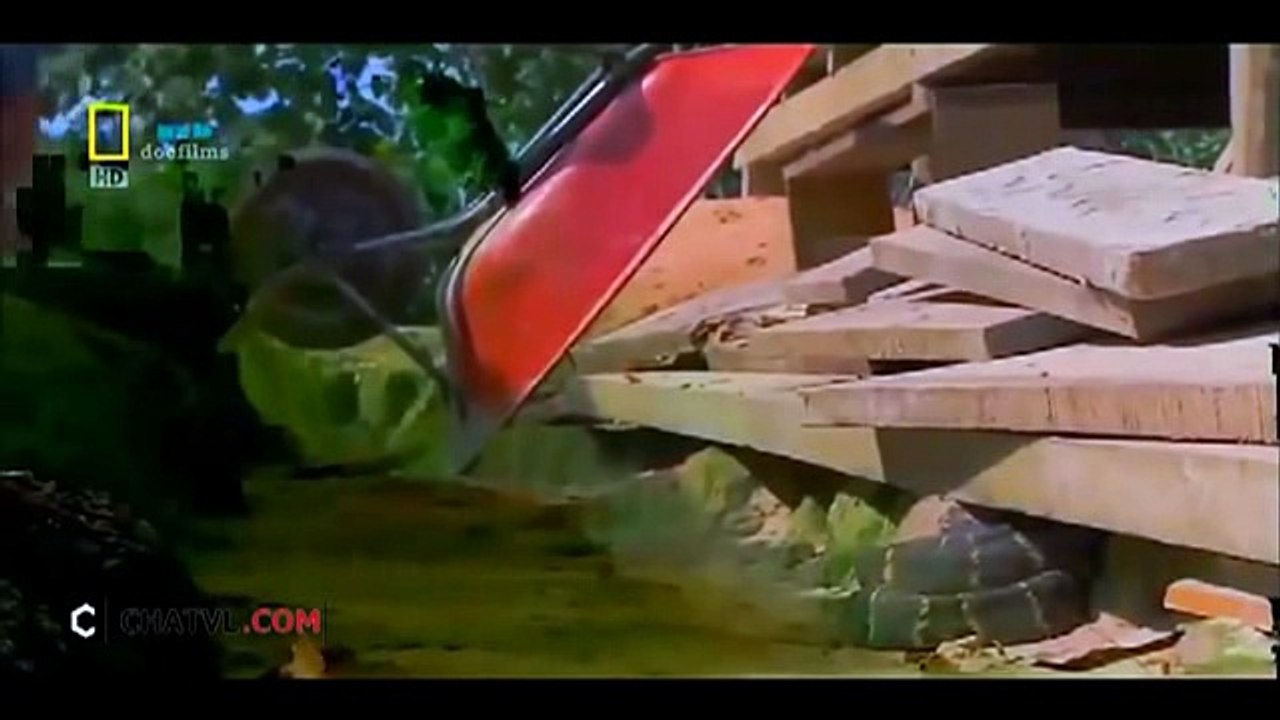 When angry animals attack humans - Funny Compilation (49)
