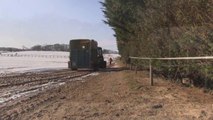 Il a été emmené avec toute sa famille, et lorsqu'il descend enfin du camion... Wow !