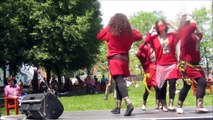 L'Iran et le Japon initie le public à leurs danses aux Jardins Gamelin