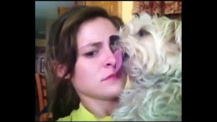 Try Not To Laugh Or Grin *HARD VERSION* - Funny Videos (Compilation 2015)