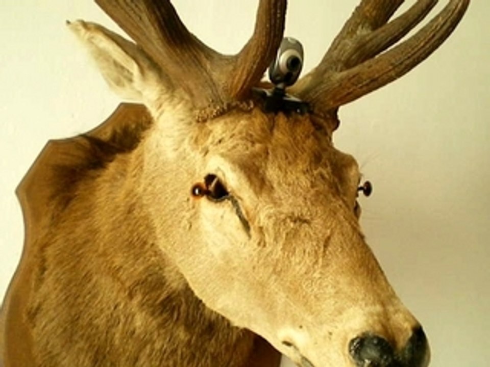 Trophee