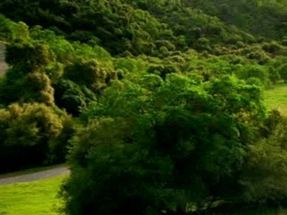 Humour gag video rire drole Nature