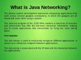 What is Java Networking?