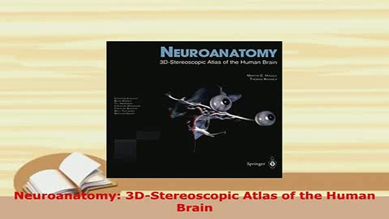 PDF  Neuroanatomy 3DStereoscopic Atlas of the Human Brain  EBook