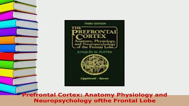 PDF Prefrontal Cortex Anatomy Physiology and Neuropsychology ofthe Frontal Lobe Read Online