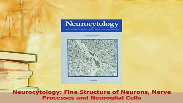 PDF Neurocytology Fine Structure of Neurons Nerve Processes and Neuroglial Cells Free Books