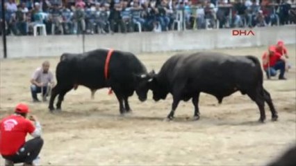 Boğası Arenada, Kadın Sahibi İse Tribünde Terledi