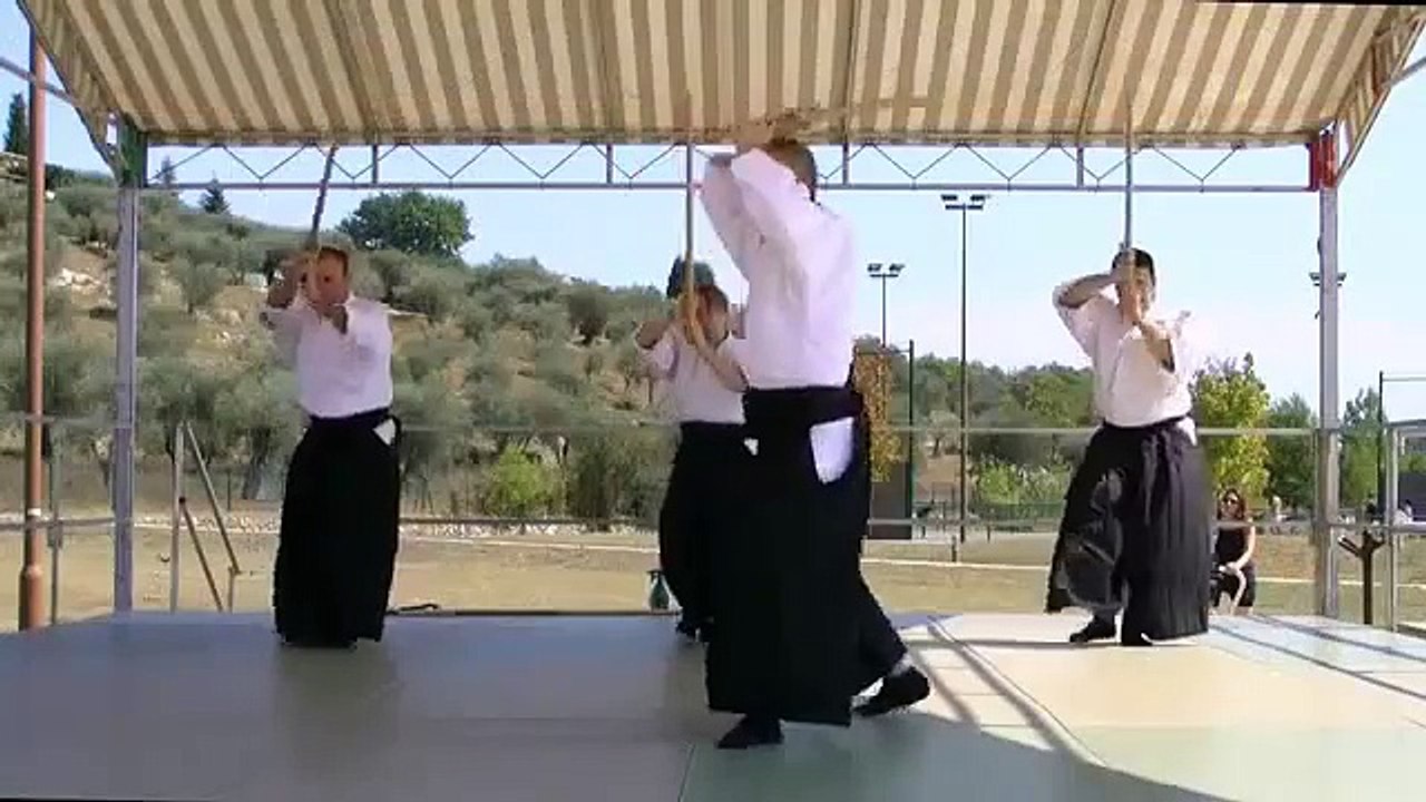 Aikido Weapons Techniques demonstation Nasty Videos