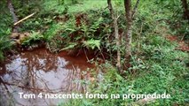 PROPRIEDADE RURAL  26 HA EM ITAÍ - Áreas Rurais - em Ijui