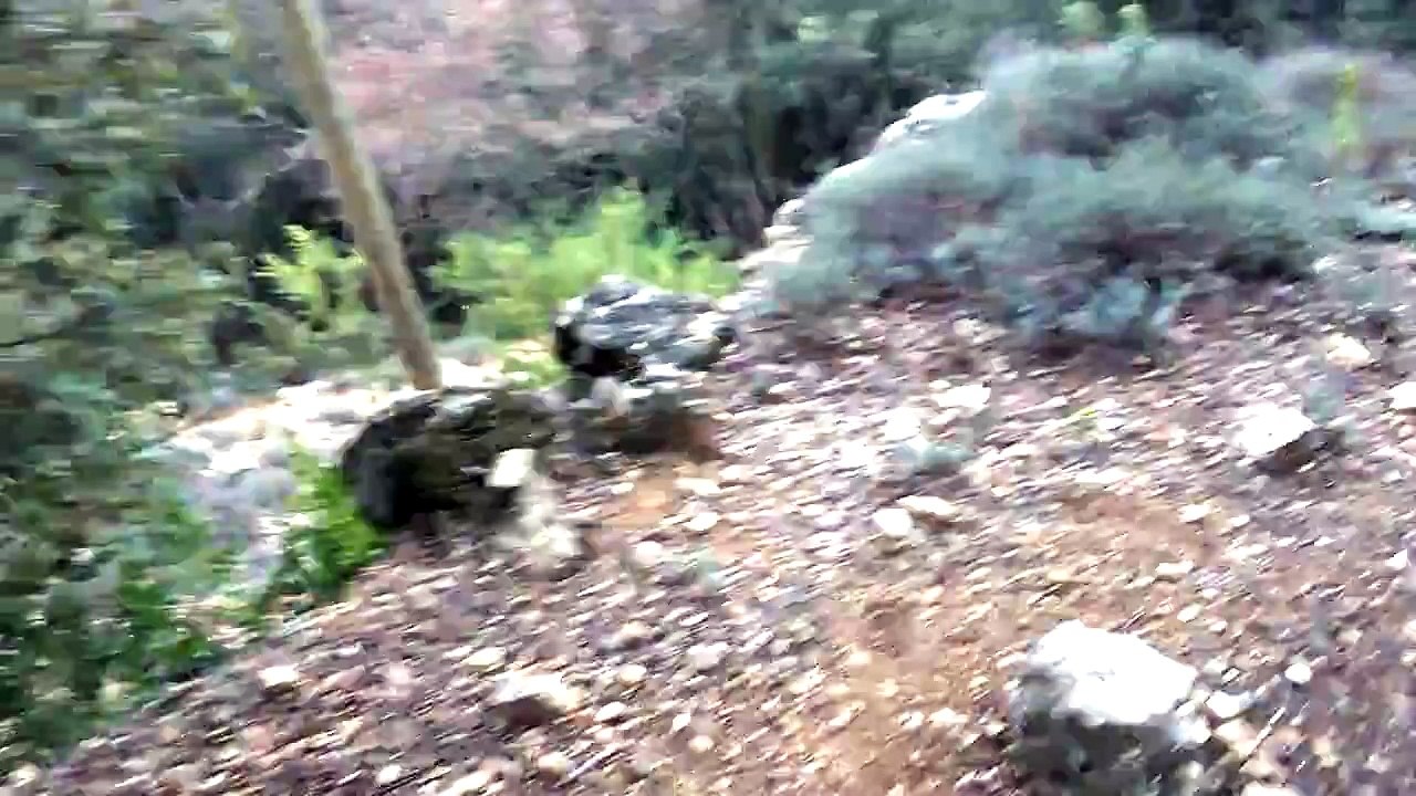 Ferme+charge sanglier