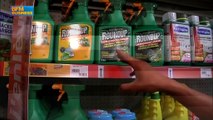 Bayer fait une offre de 62 milliards de dollars pour racheter Monsanto