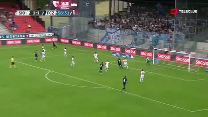 Sion 1:2 Zürich  22.05.16 (35.Runde 2015/16)