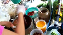 Som Tam (Thai Papaya Salad)
