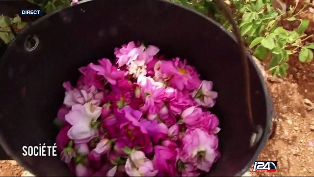 Grand Angle: les conflits et la famine