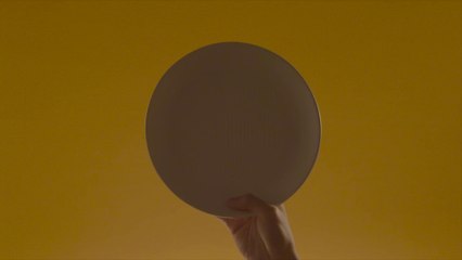 Découvrez l’Absorplate, la première assiette qui absorbera la graisse de vos plats !