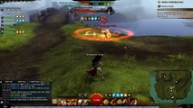 Guild wars 2- Legendary Fly vs HoTD warrior