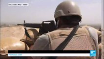 'Islamic State' conflict: Iraqi PM announces military operation to retake Fallujah