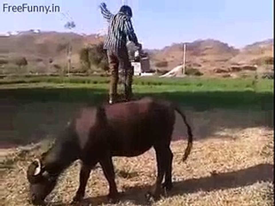 funny video