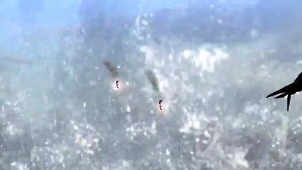 Bayonetta 2 - E3 2013 Trailer