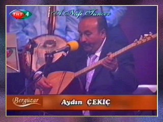 Aydın ÇEKİÇ - Nerde Galdı Vatanımız Elimiz