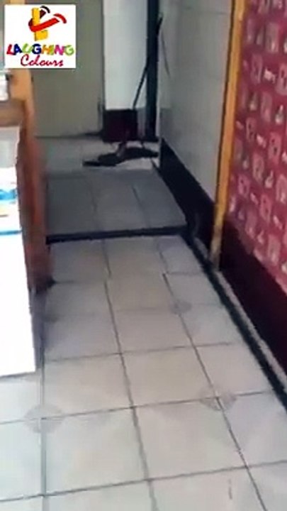 real tom and jerry show
