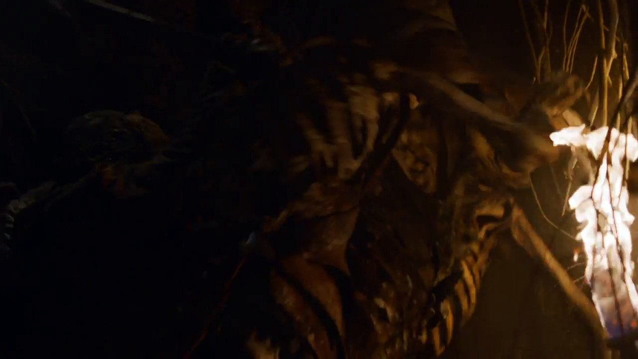 Game of Thrones Season 6- Episode #5 Clip – Hold The Door (HBO)