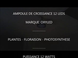 Ampoule de croissance Oxyled