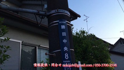 裸族大歓迎ユートピア