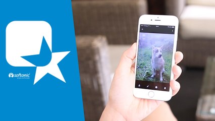 La mejor app para organizar tus fotos en tu teléfono y hacer vídeos con ellas Google Photos