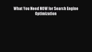 Read What You Need NOW for Search Engine Optimization Ebook Online