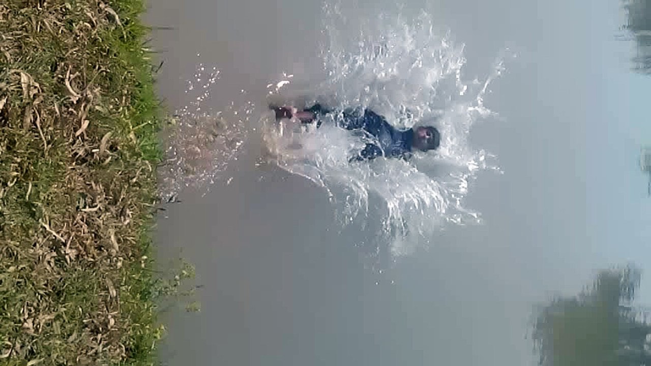 videos0411