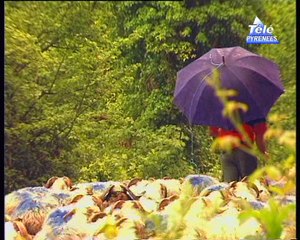 Alain, Berger à Laruns