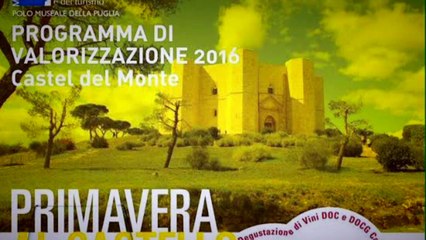 Degustazione dei vini nostrani all'interno di Castel del Monte, un'atmosfera unica