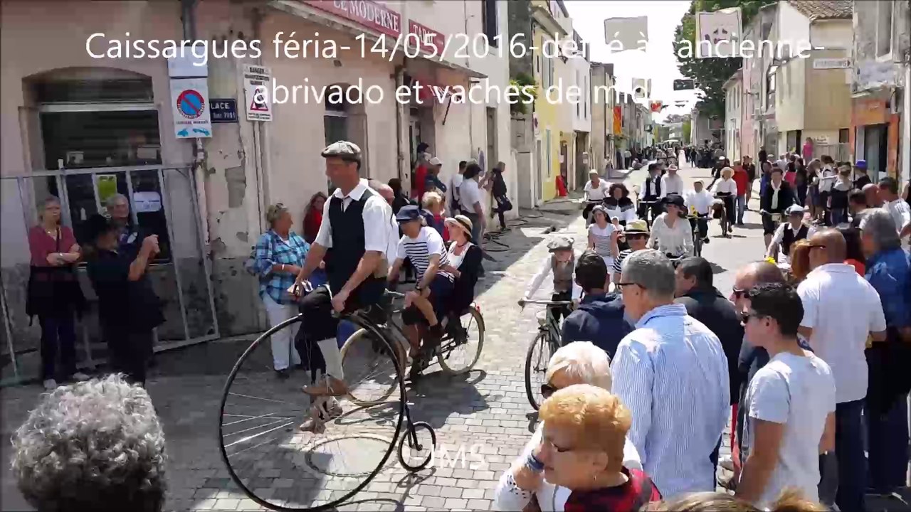 défilé à l'ancienne-abrivado-vaches à midi-Caissargues féria-14/05/2016