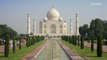 Insect Poop Threatens India's Taj Mahal
