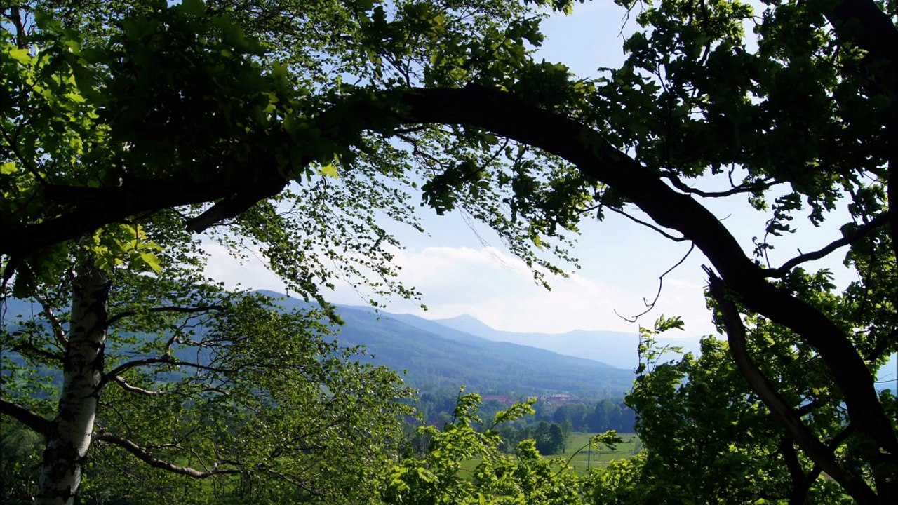 Der Verrat am deutschen Osten