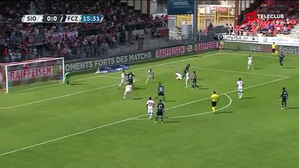 Sion 0:1 Zürich  22.05.16 (35.Runde 2015/16)
