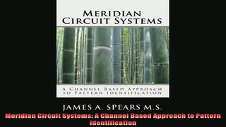 READ FREE Ebooks  Meridian Circuit Systems A Channel Based Approach to Pattern Identification Full EBook