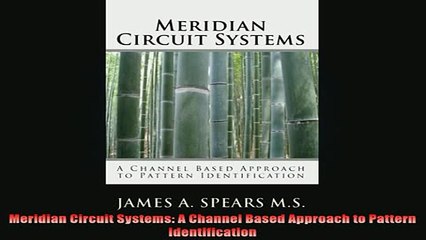 READ FREE Ebooks  Meridian Circuit Systems A Channel Based Approach to Pattern Identification Full EBook