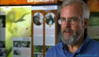 O Sexo na Idade da Pedra