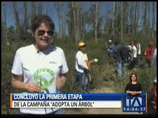 Descargar video: Se completó la primera etapa de Adopta un Árbol