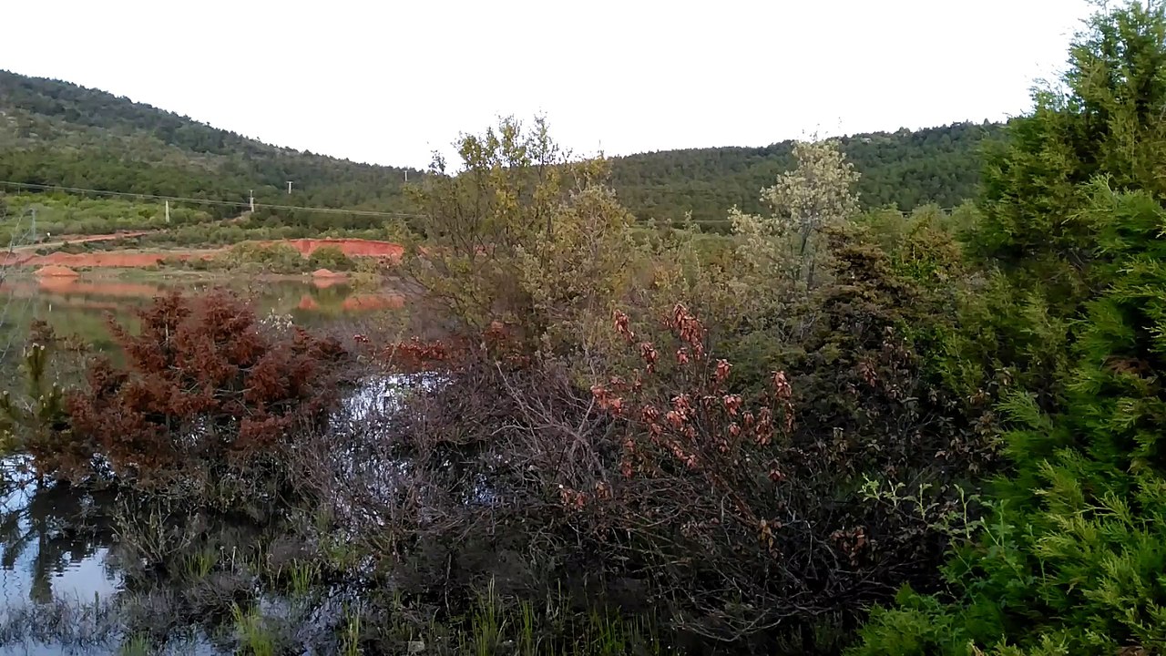 Başlamış Köyü Göleti