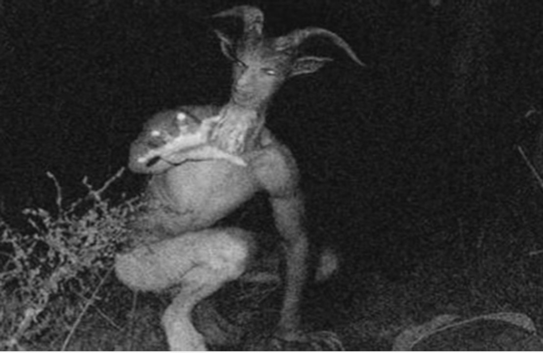 10 Mysterious Photos That Cannot Be Explained 2016