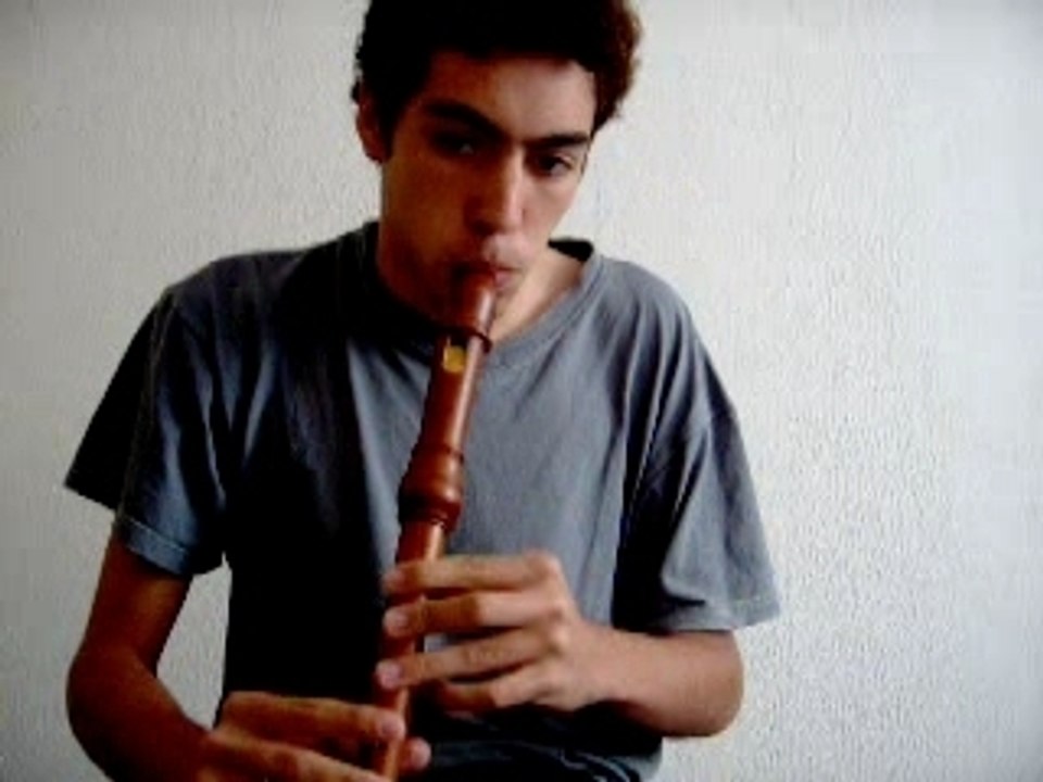 Allemande de la partita pour flute seule de J.S.Bach