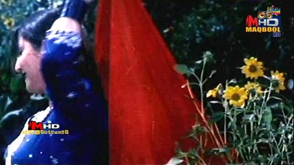 saima+arbaz khan-lal duppate wali tu bijliyaan giray ja