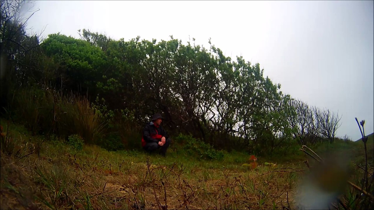 Just a moment, hiking in the rain ...